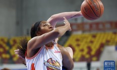 米兰体育下载-场上球员技巧高超，造就精彩表演的简单介绍